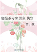 《鉴绿茶专家男主（快穿）》封面