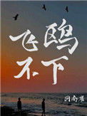 《飞鸥不下》封面