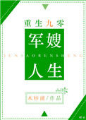 重生九零军嫂人生
