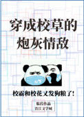 《穿成校草的炮灰情敌》封面