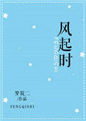 《风起时》封面