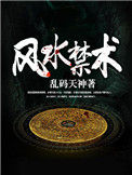 《风水禁术》封面