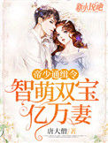 帝少通缉令：智萌双宝亿万妻