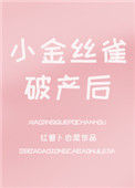 小金丝雀破产后封面