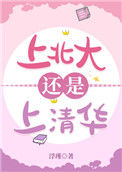 《上北大还是上清华》封面