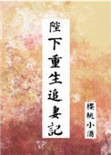 陛下重生追妻记txt电子书下载