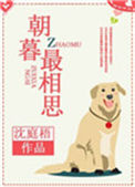 《朝暮最相思》封面