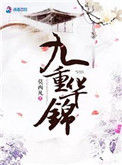 《九重华锦》封面