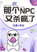 《那个NPC又杀疯了》封面