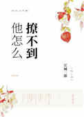 《他怎么撩不到》封面