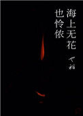 《海上无花也怜侬》封面