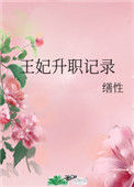《王妃升职记录》封面