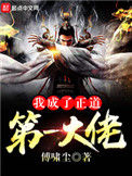 《我成了正道第一大佬》封面