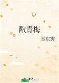 酿青梅封面
