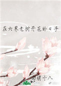 《在六界老树开花的日子》封面