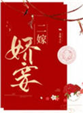 《二嫁娇妾》封面