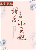 甜系小王妃封面