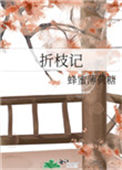 《折枝记》封面