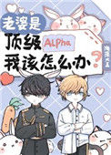 《老婆是顶级Alpha，我该怎么办》封面