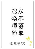 《召唤师他从不落单》封面