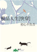 《极品人生[快穿]》封面