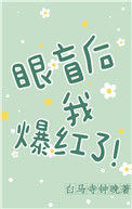 《眼盲后我爆红了》封面