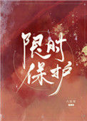 《限时保护》封面