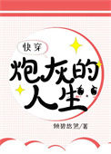 《炮灰的人生[快穿]》封面