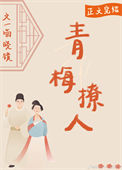 《青梅撩人》封面