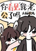 《你看见我老公了吗》封面