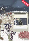 《骤雪》封面