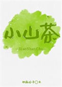小山茶封面