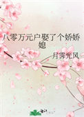 八零万元户娶了个娇娇媳封面