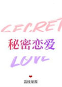 秘密恋爱封面