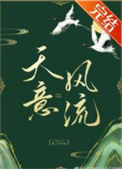 《天意风流》封面