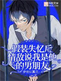 《假装失忆后情敌说我是他的男朋友》封面