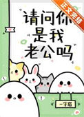 《请问你是我老公吗》封面