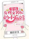 《穿成年代文男配的小后妈》封面