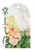 《掌上飞花》封面