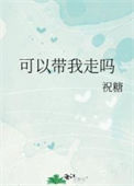 《可以带我走吗》封面
