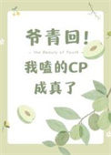 爷青回，我嗑的cp成真了txt电子书下载