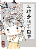《五娘子躺平日常》封面