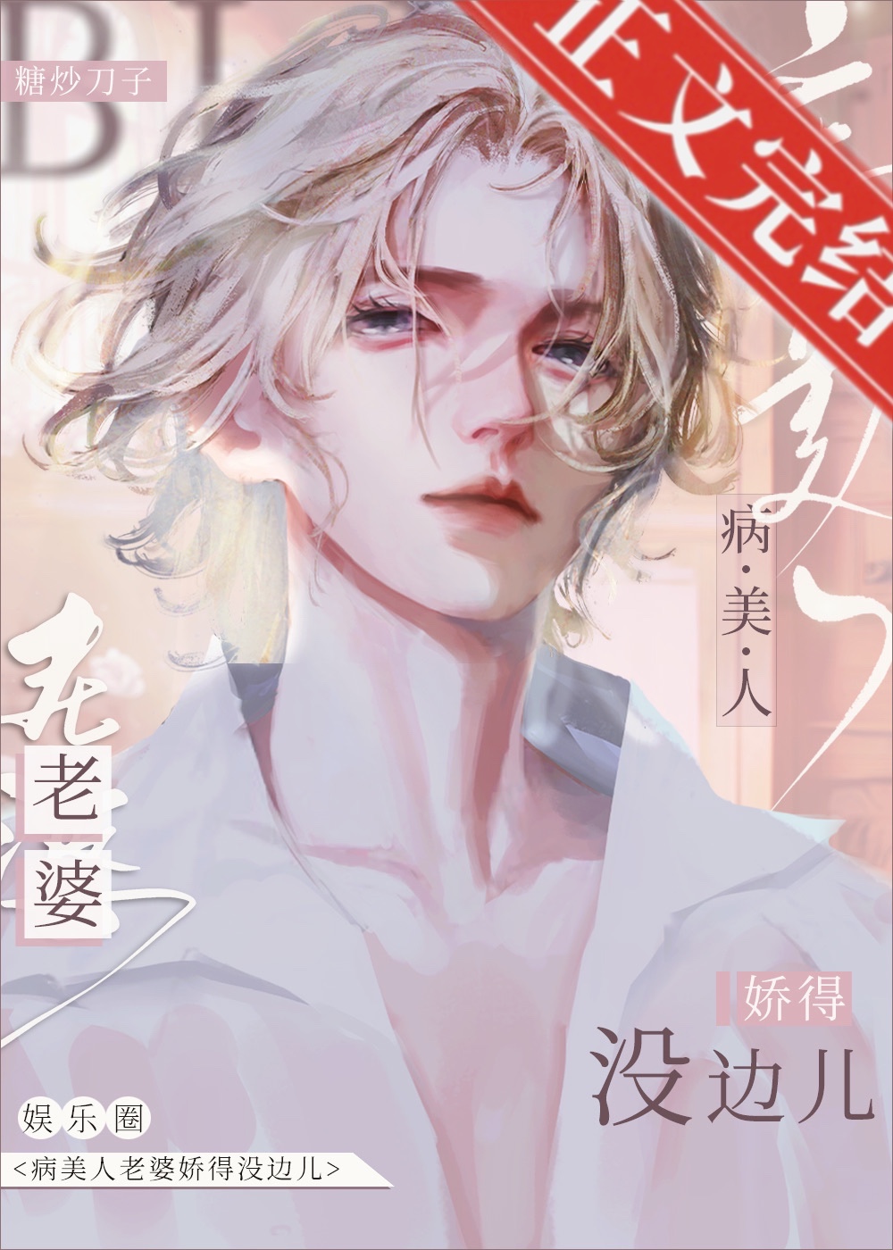 《病美人老婆娇得没边儿[娱乐圈]》封面