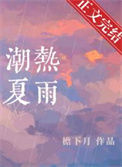 《潮热夏雨》封面