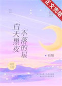 《白天黑夜不落的星》封面