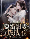 《靳总的隐婚甜妻又上热搜了》封面