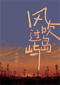 《风吹过岛屿》封面