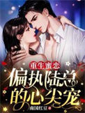 《重生蜜恋：偏执陆总的心尖宠》封面