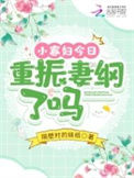 《小寡妇今日重振妻纲了吗》封面