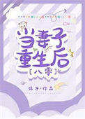 《当妻子重生后》封面